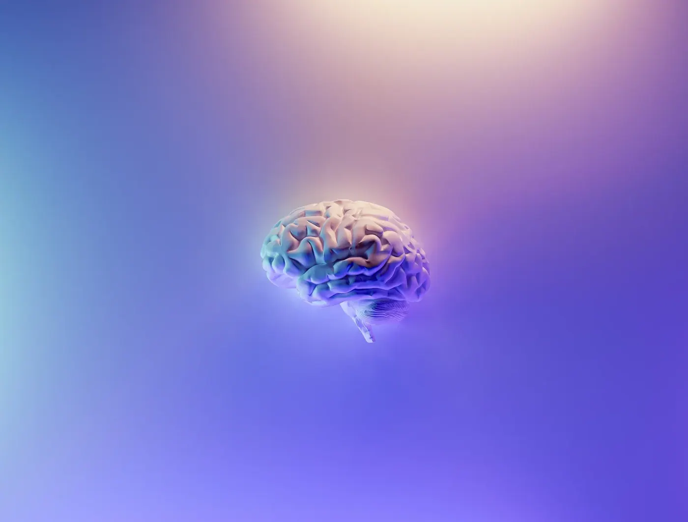 Train Your Brain